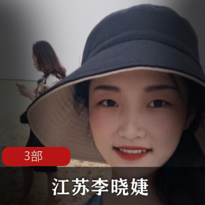 江苏李晓婕3部视频