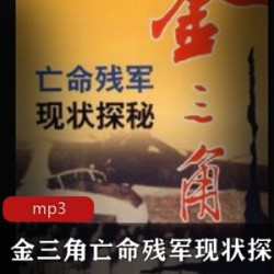 有声书[历史军事] [军事纪实][金三角亡命残军现状探秘][孙纯福][24集][mp3]