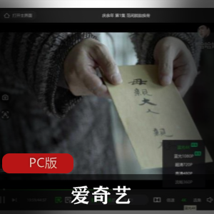 爱奇艺PC版