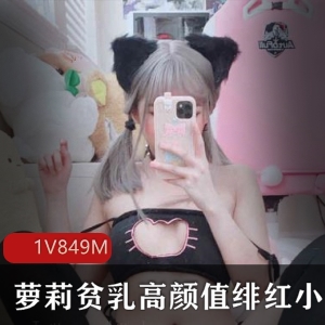 绯红小猫合集：妹子飞机场妹子在飞机场展现高颜值